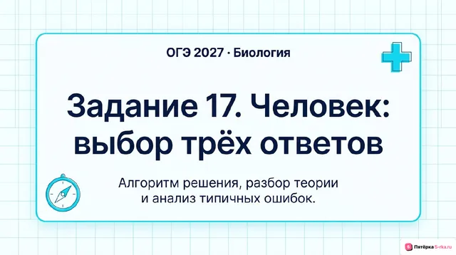 Слайд 1 презентации-разбора задания 17