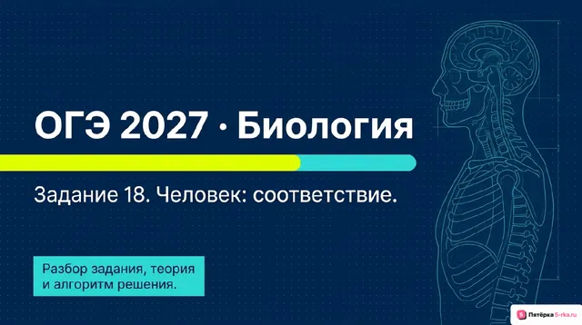 Слайд 1 презентации-разбора задания 18
