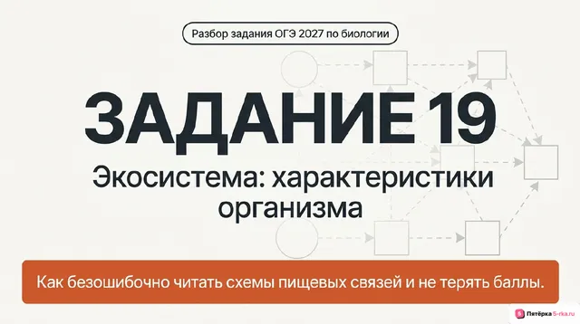Слайд 1 презентации-разбора задания 19