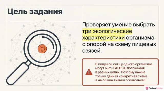 Слайд 2 презентации-разбора задания 19