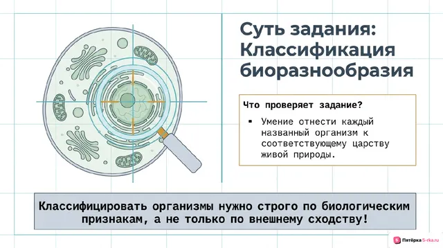 Слайд 2 презентации-разбора задания 2