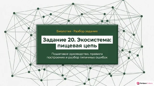 Слайд 1 презентации-разбора задания 20