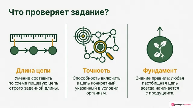 Слайд 2 презентации-разбора задания 20
