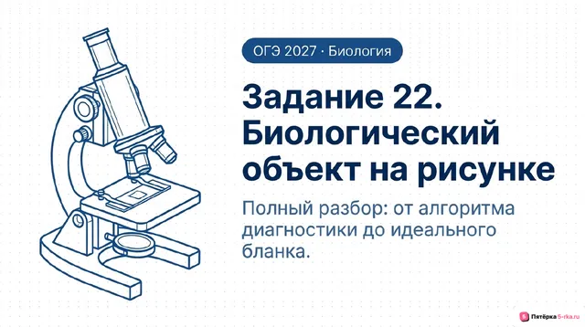 Слайд 1 презентации-разбора задания 22