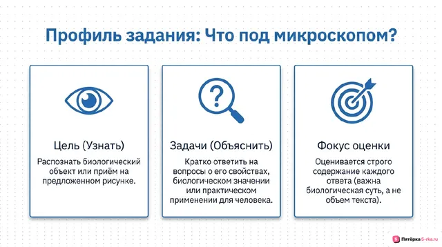 Слайд 2 презентации-разбора задания 22