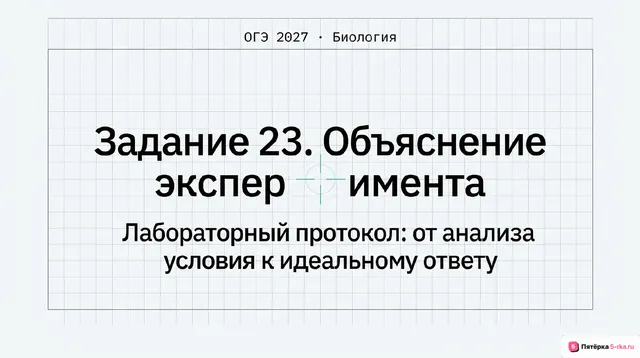 Слайд 1 презентации-разбора задания 23