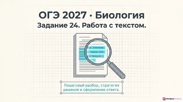 Слайд 1 презентации-разбора задания 24
