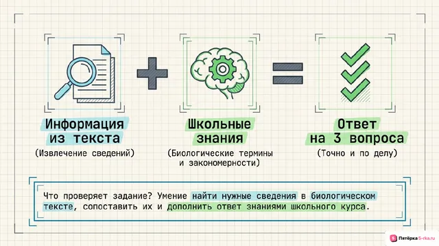 Слайд 2 презентации-разбора задания 24