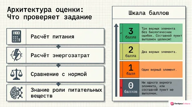 Слайд 2 презентации-разбора задания 26