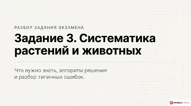 Слайд 1 презентации-разбора задания 3