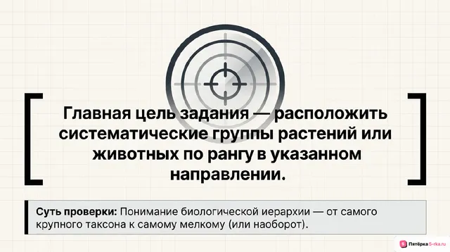 Слайд 2 презентации-разбора задания 3