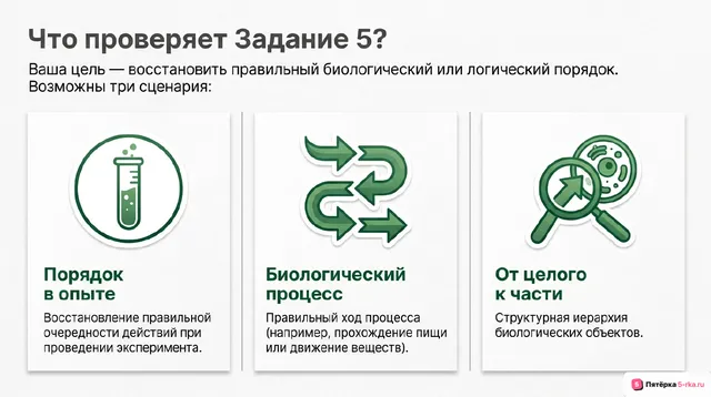 Слайд 2 презентации-разбора задания 5