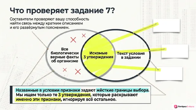 Слайд 2 презентации-разбора задания 7