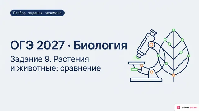 Слайд 1 презентации-разбора задания 9