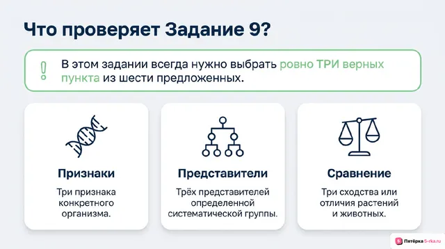 Слайд 2 презентации-разбора задания 9