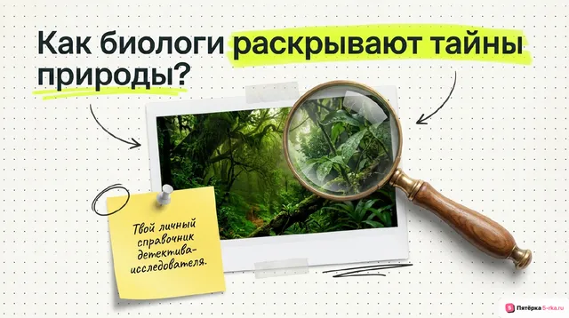 Обложка презентации к уроку «Методы научного познания в биологии»