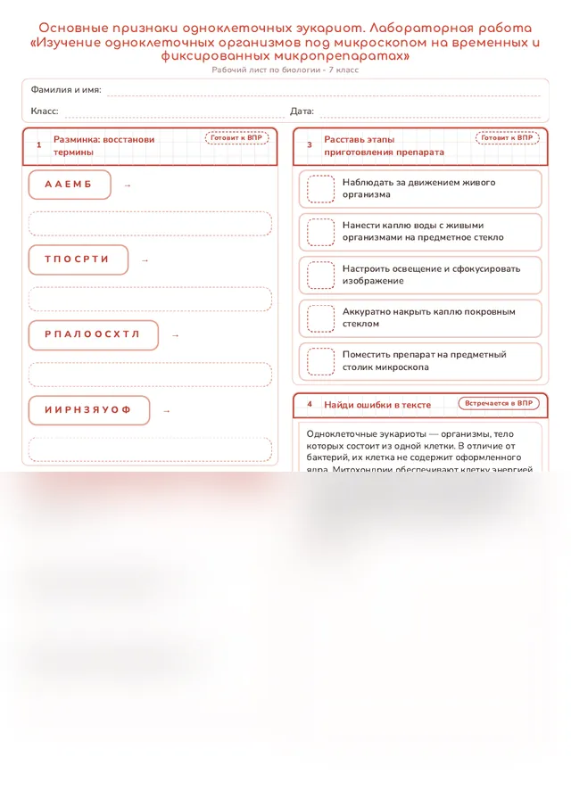 Начало рабочего листа