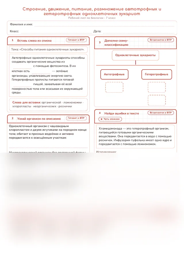 Начало рабочего листа