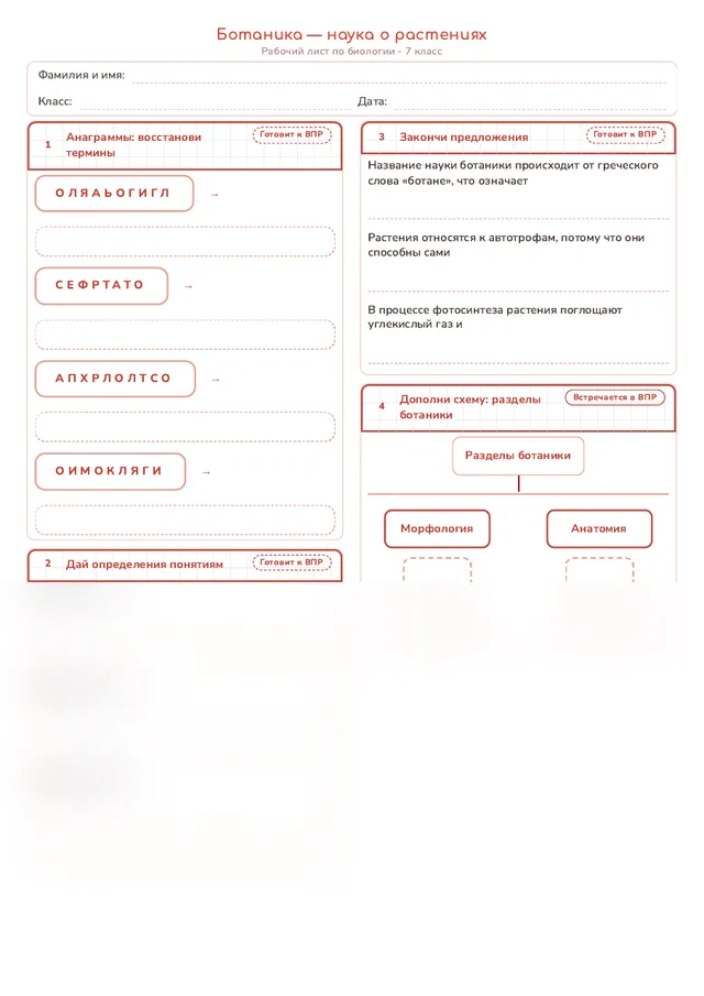 Начало рабочего листа