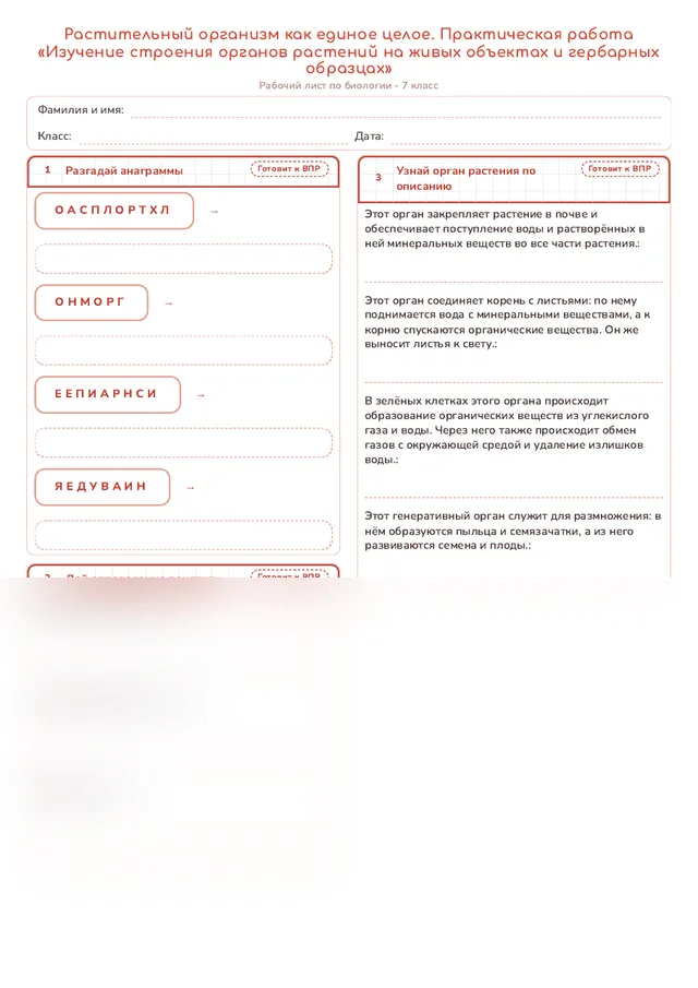 Начало рабочего листа