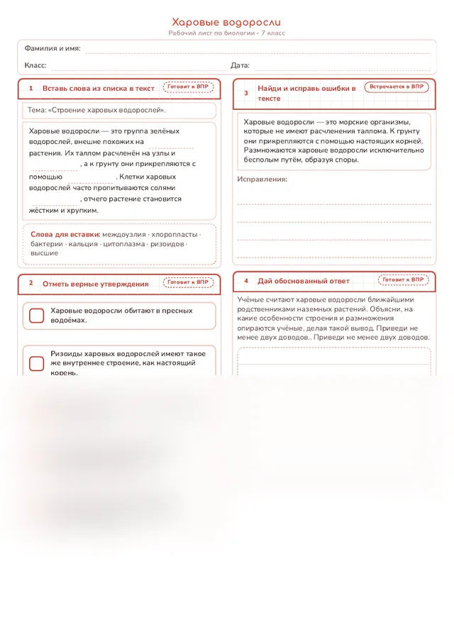 Начало рабочего листа