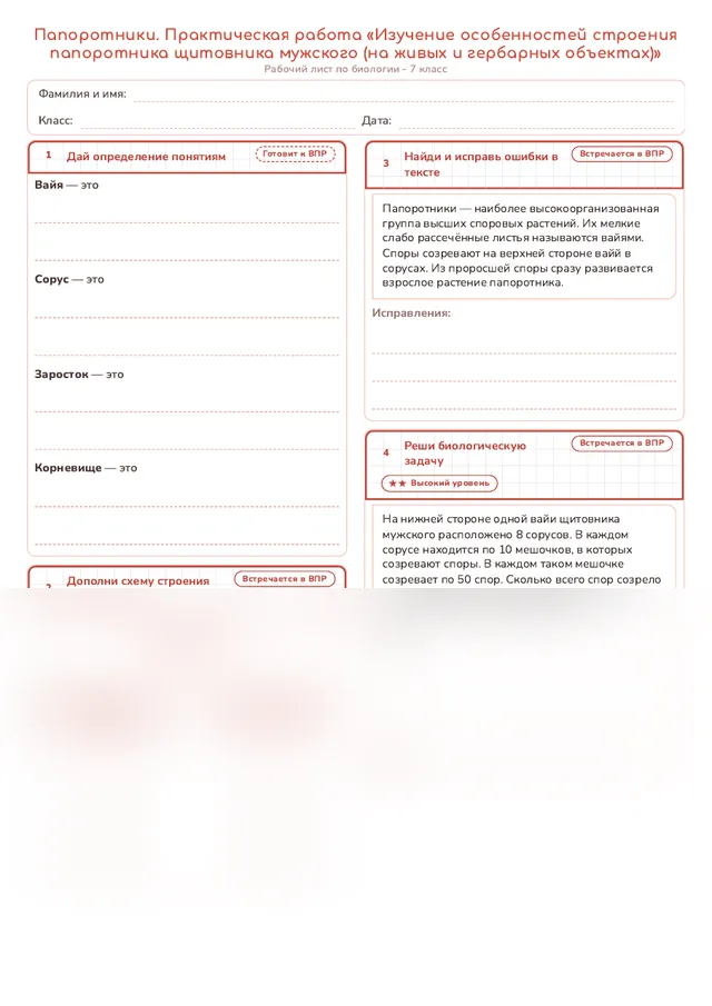 Начало рабочего листа