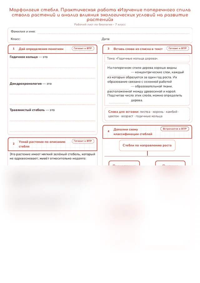 Начало рабочего листа