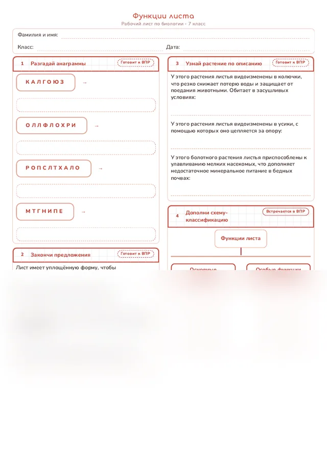 Начало рабочего листа