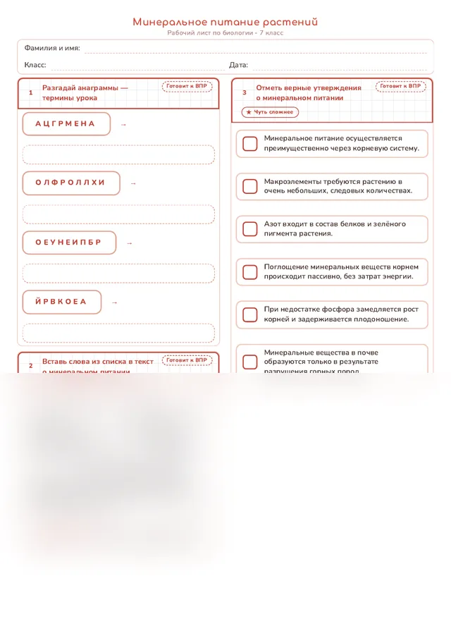 Начало рабочего листа