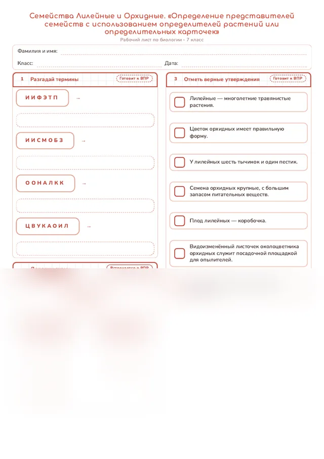 Начало рабочего листа