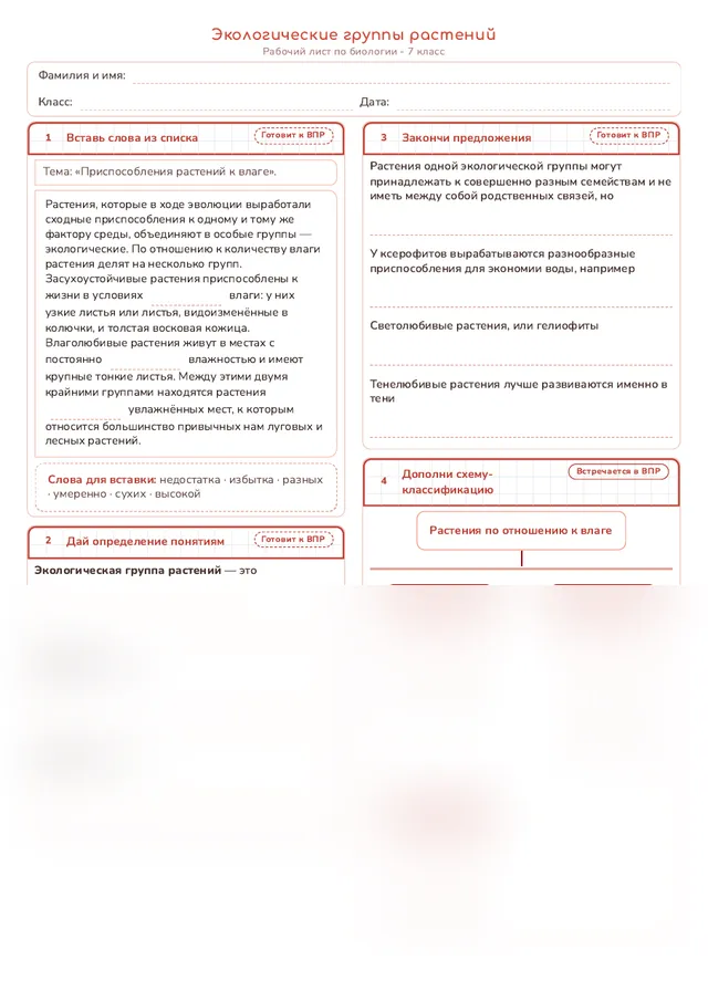 Начало рабочего листа