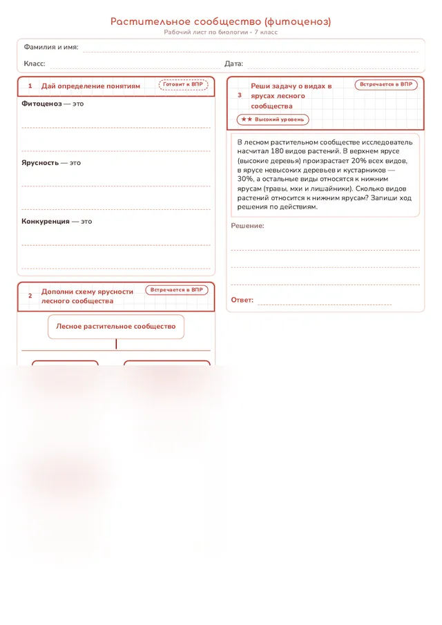 Начало рабочего листа