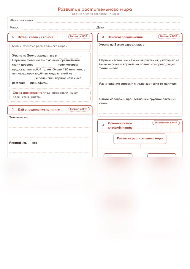 Начало рабочего листа