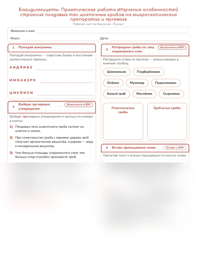 Начало рабочего листа