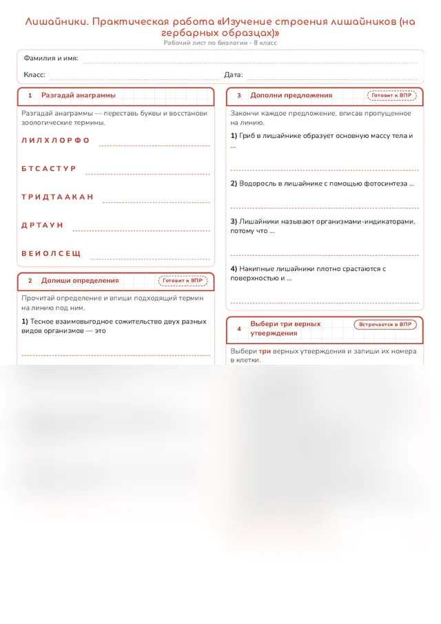Начало рабочего листа