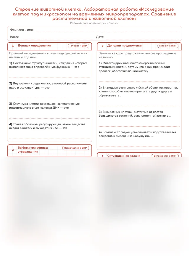 Начало рабочего листа