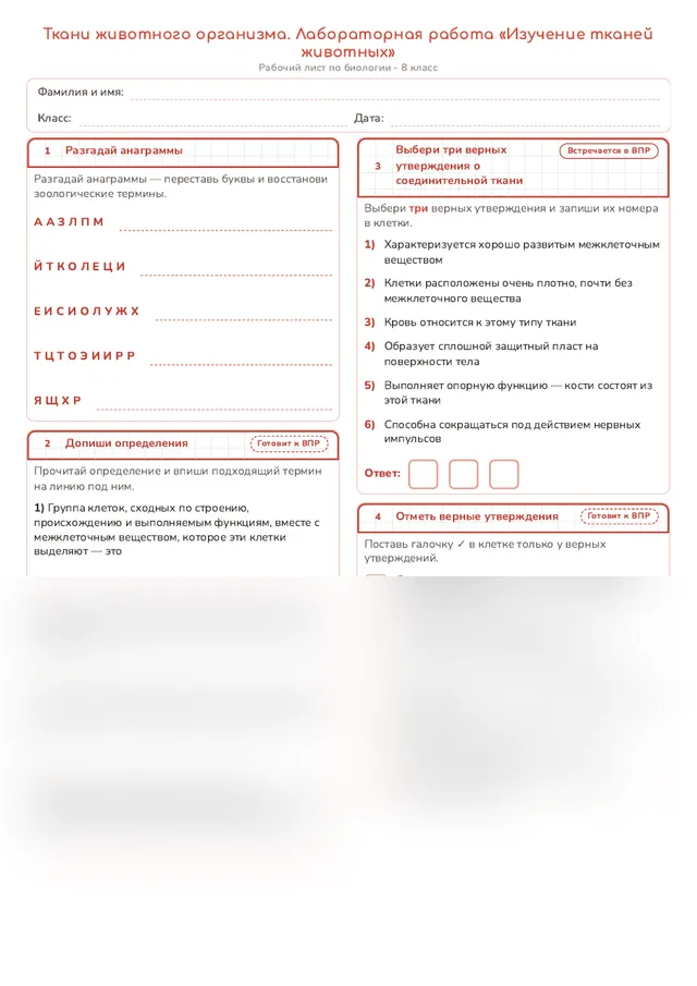 Начало рабочего листа