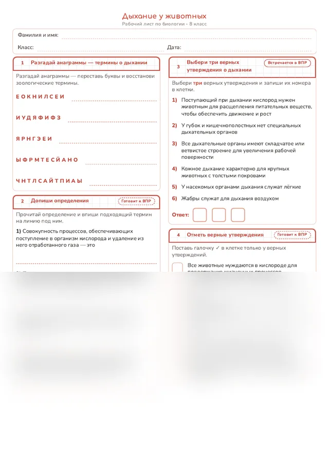 Начало рабочего листа