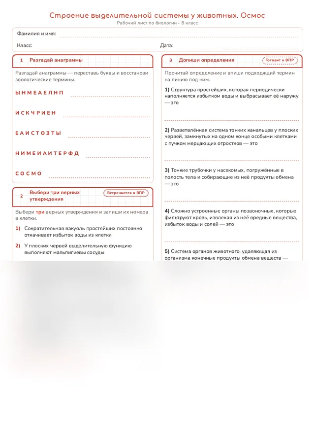 Начало рабочего листа