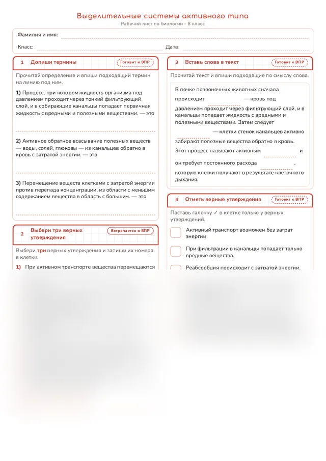 Начало рабочего листа