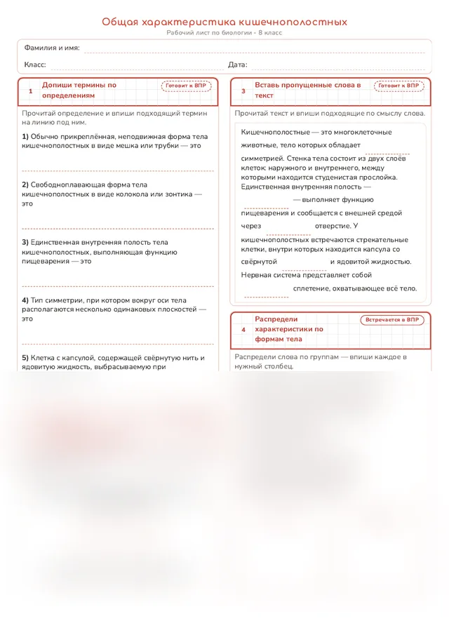 Начало рабочего листа