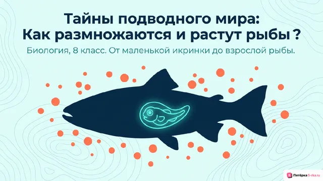 Обложка презентации к уроку «Размножение и развитие рыб»