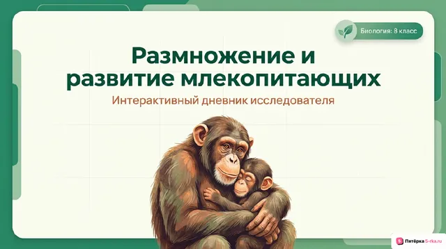 Обложка презентации к уроку «Размножение и развитие млекопитающих»