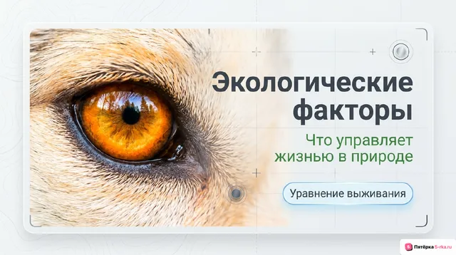 Обложка презентации к уроку «Экологические факторы»