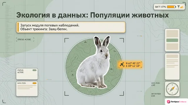 Обложка презентации к уроку «Популяции животных»