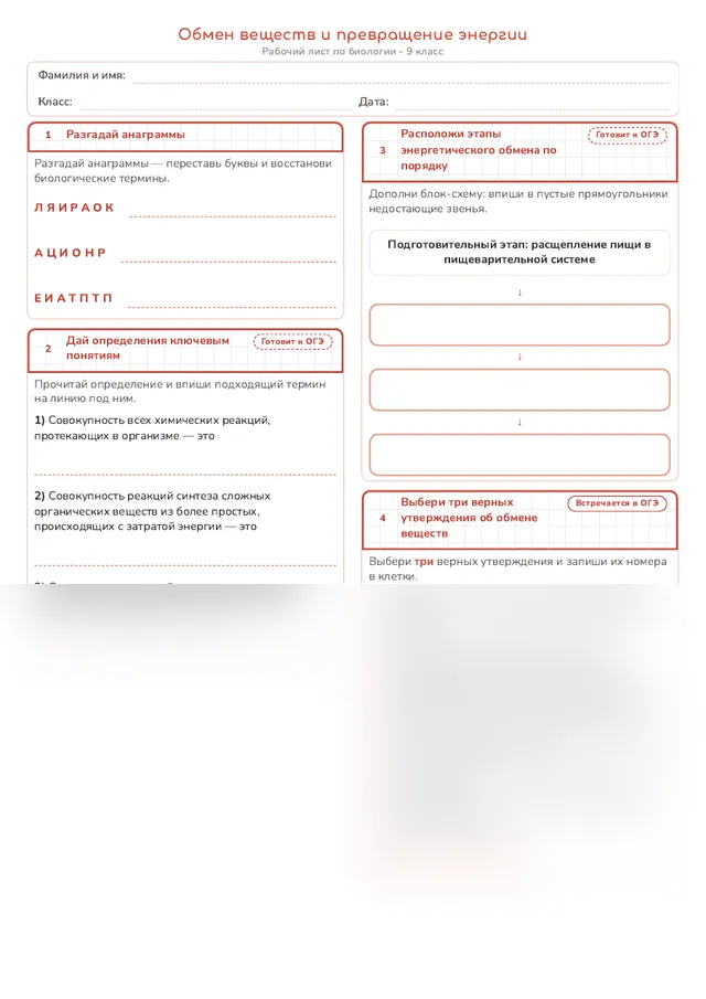 Начало рабочего листа