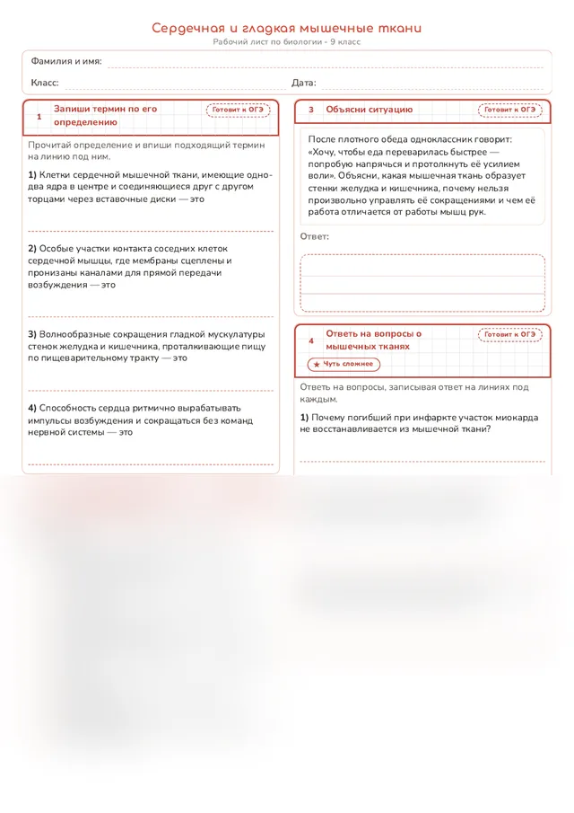 Начало рабочего листа
