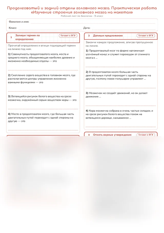 Начало рабочего листа