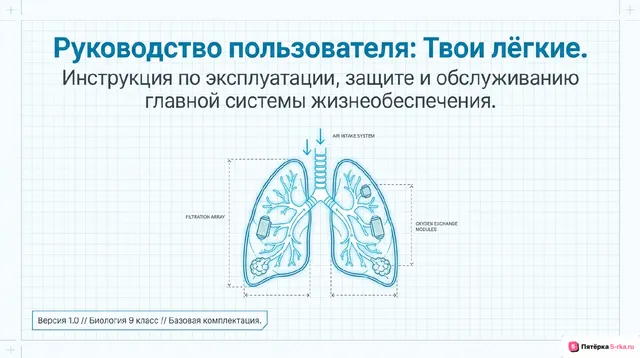 Обложка презентации к уроку «Гигиена дыхания»