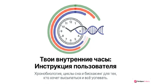 Обложка презентации к уроку «Ритмические процессы жизнедеятельности»